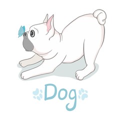 French bulldog head isolated on white background. Vector illustration