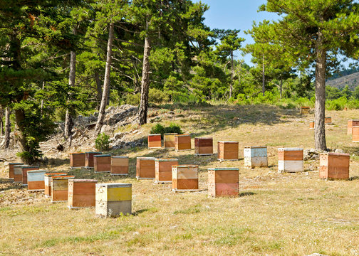Beehive in the mountains in Greece