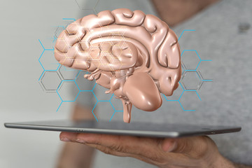 brain idea