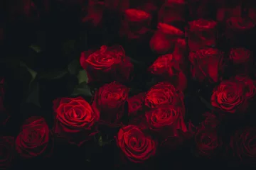  Dark Roses © Angelika Pest