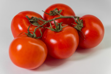 red tomatoes on a twig on a white background