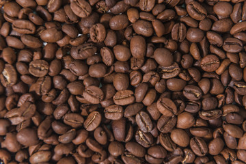 Coffee Beans Textured Background