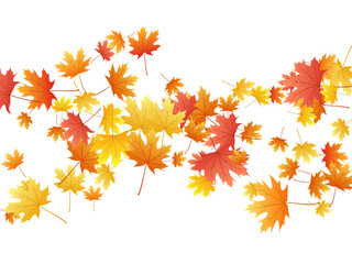 Naklejka na ściany i meble Maple leaves vector background, autumn foliage on white graphic design.
