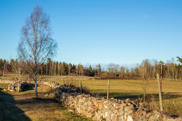 Old stone wall at pasture