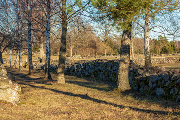 Old stone wall at pasture © Björn Kristersson