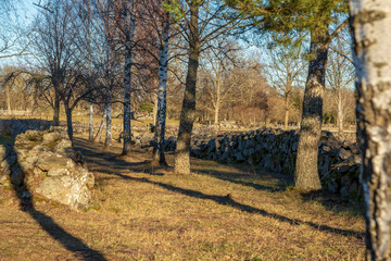 Old stone wall at pasture