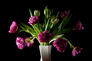 Bouquet of beautiful pink, green tulip flowers in white vase against black backdrop. Selective focus. Artistic low key lighting setup. Spring, holiday, date, event, exclusive concept, for card
