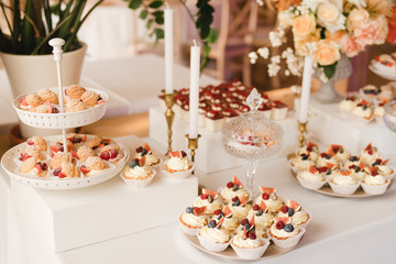 Candy bar with tasty desserts and appetizers at wedding reception. Decorated with flower compositions and candles. Sweet food, dessert, buffet, catering table, restaurant.