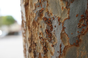 Rust on a lamp post