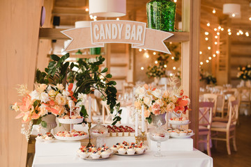 Candy bar with tasty desserts and appetizers at wedding reception. Decorated with flower compositions and candles. Sweet food, dessert, buffet, catering table, restaurant.