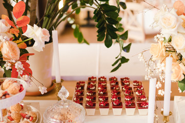 Candy bar with tasty desserts and appetizers at wedding reception. Decorated with flower compositions and candles. Sweet food, dessert, buffet, catering table, restaurant.