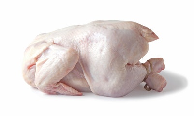 Raw chicken isolated on white background.
