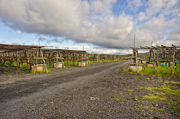 Fototapeta premium iceland.