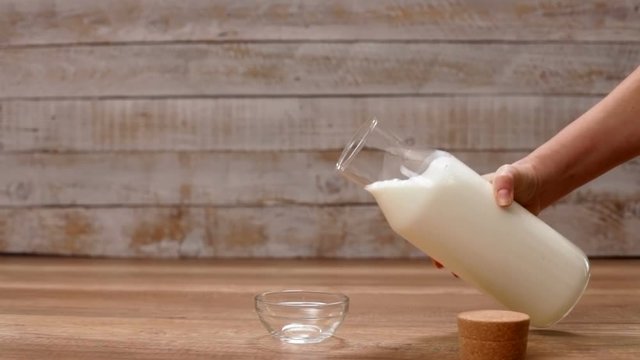 Hand pour milk into bowl to feed an orange tabby kitten coming to eat - close-up, static camera