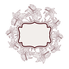 frame with plants and herbs isolated icon