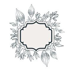 frame with plants and herbs isolated icon