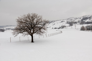Fototapeta na wymiar Turkey Bingol Snow view