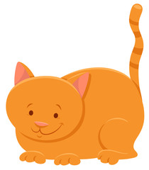 funny yellow cat cartoon animal character