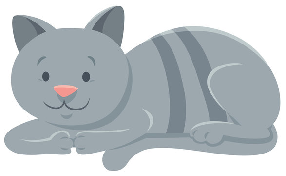 funny gray cat cartoon animal character
