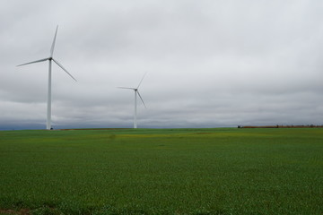Fototapeta na wymiar Wind turbines on a field