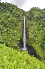 Akaka Falls, Hawaii, USA