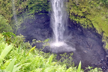 Obraz premium Akaka Falls, Hawaii, USA