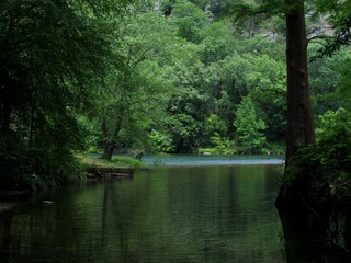 Cove of the river surrounded in trees
