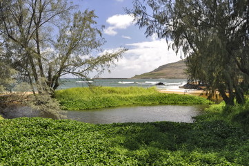 Kauai, Hawaii, USA