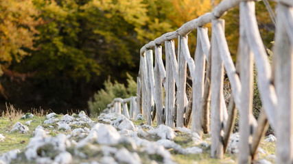 Fototapeta premium Wooden fence with out of focus trees in the background. Landscape format.