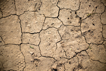 Dry Cracked Earth Detail 07