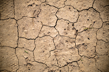 Dry Cracked Earth Detail 06