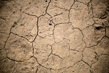 Dry Cracked Earth Detail 05