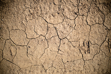 Dry Cracked Earth Detail 01