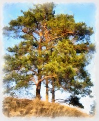 Fototapeta premium Country nature landscape. Village motifs. Big size oil painting pictorial art. Modern impressionism drawing artwork. Creative artistic print for canvas or textile. Wallpaper, poster or postcard design