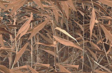 Realistic hunting pattern autumn yellow reeds and weeds camouflage seamless backgrounds