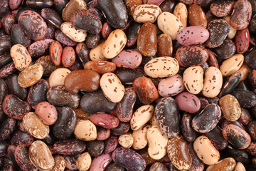 Food background - raw purple, pink, beige with brown speckled kidney beans