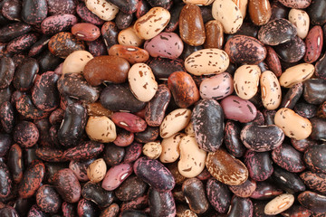 Food background - raw purple, pink, beige with brown speckled kidney beans