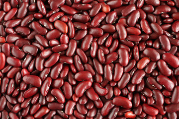 Food background - raw brown kidney beans