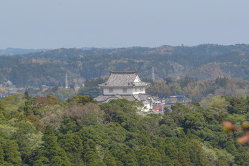 Fototapeta premium 春の大多喜城の風景