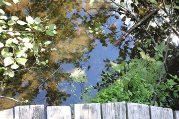 Pont en bois sur le bord de l’eau 