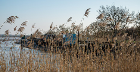 Cabane de pêcheur marais de Rochefort Charente Maritime France