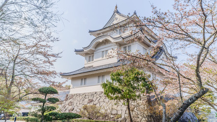 Fototapeta premium 春の大多喜城の風景