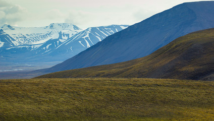 Arctic landscape in Svalbard during summer. Norway