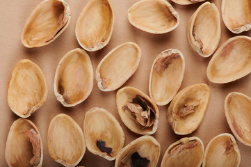 Empty brown shells
