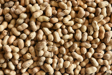 Roasted Peanuts Background
