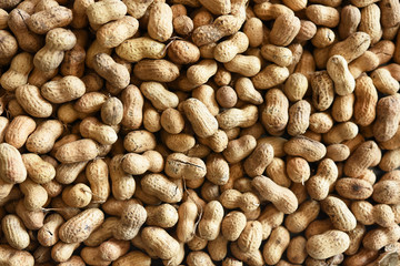 Roasted Peanuts Background