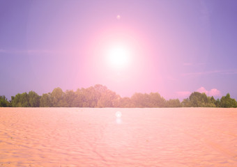 Fabulous sunset over the forest and desert. Nature in summer.