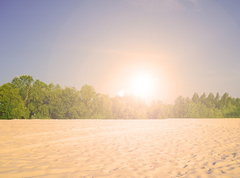 Fabulous sunset over the forest and desert. Nature in summer.
