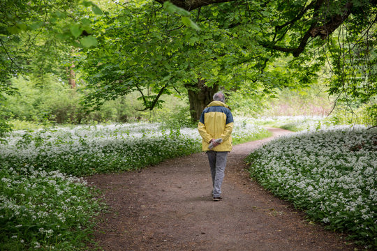 Germany, Ruegen, Putbus, man walking in park with blossoming ramson