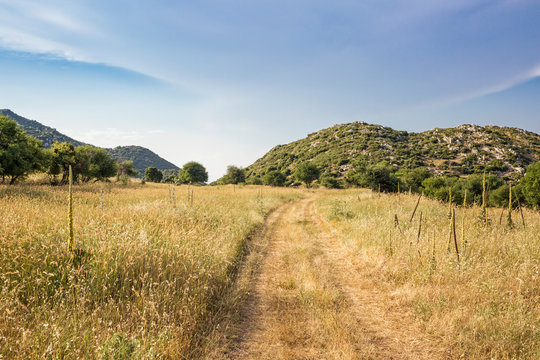 Greece, Peloponnese, Arcadia, Lykaion, plateau below mountain Profitis Ilias